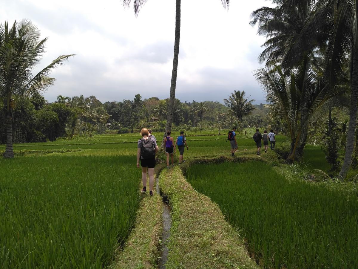 Jaya Homestay Tetebatu Luaran gambar