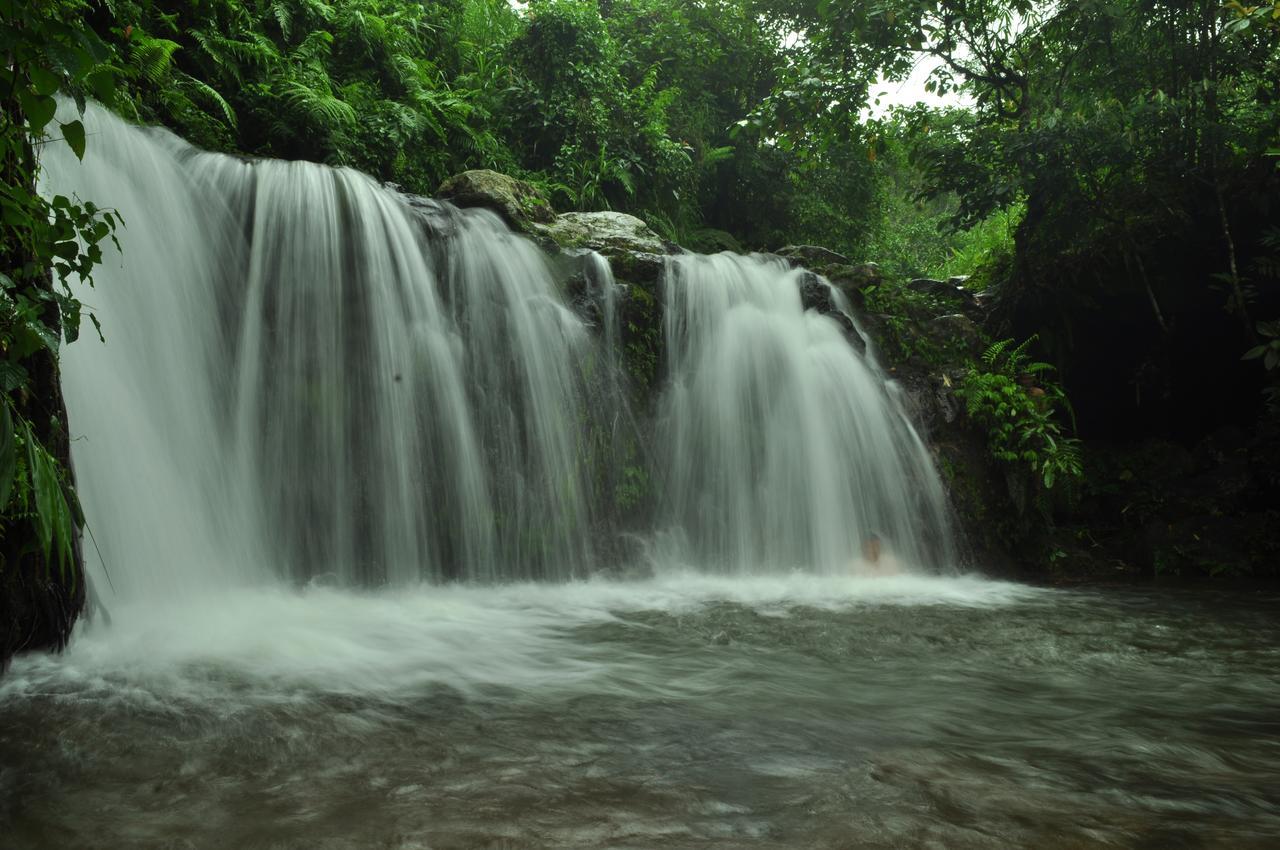Jaya Homestay Tetebatu Luaran gambar