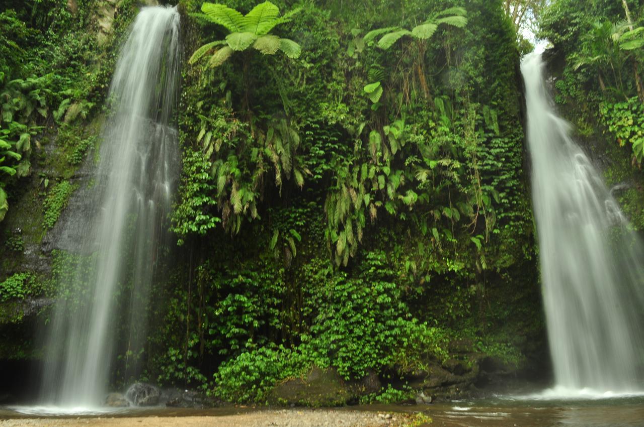 Jaya Homestay Tetebatu Luaran gambar