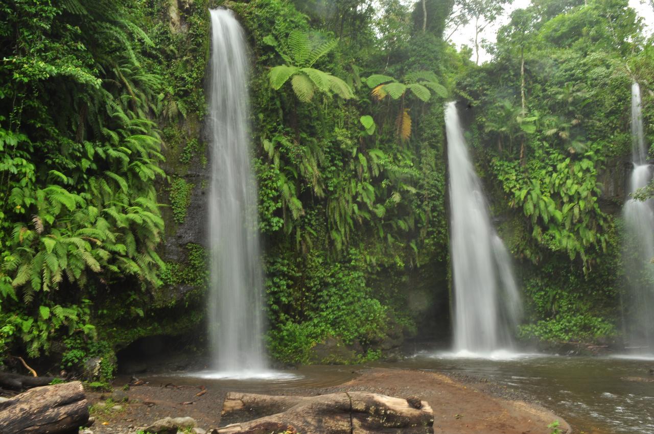 Jaya Homestay Tetebatu Luaran gambar