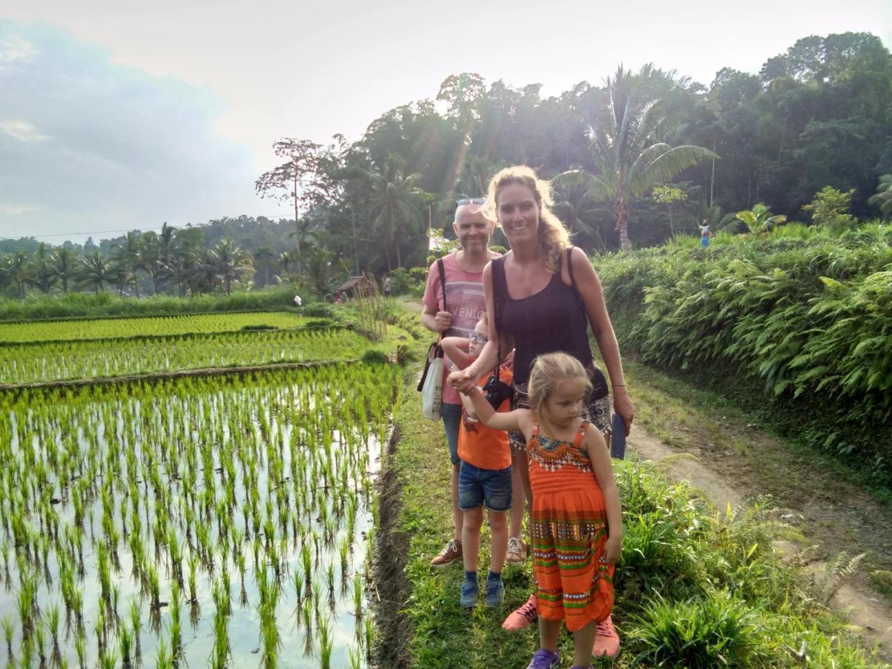 Jaya Homestay Tetebatu Bilik gambar
