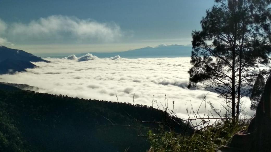 Jaya Homestay Tetebatu Luaran gambar